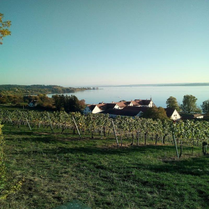 Apartment Am Bodensee Uhldingen-Muehlhofen