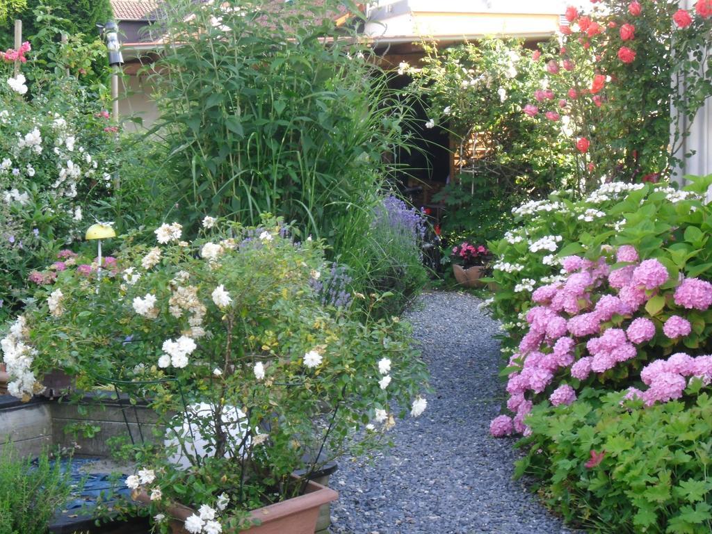 Apartment Am Bodensee